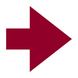 ZU